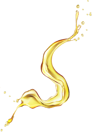 Shape